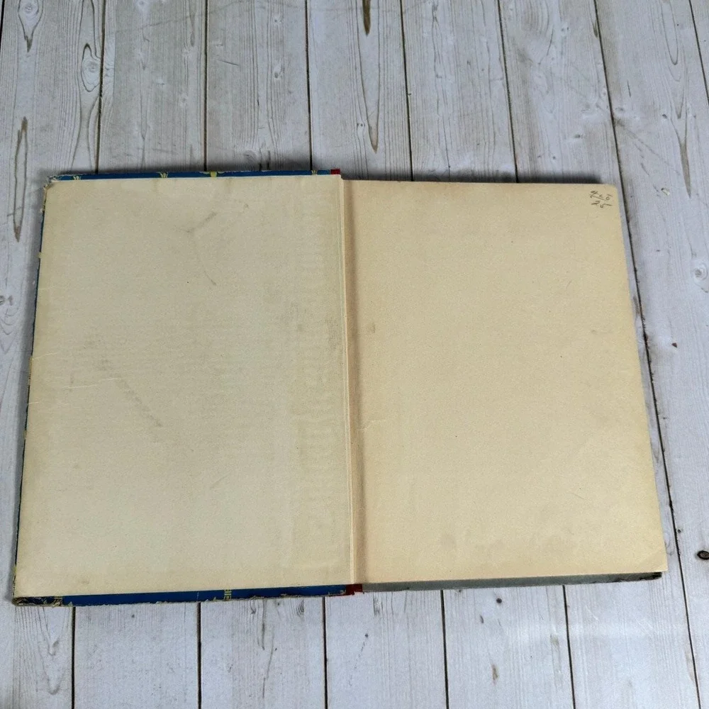 Story Hours for Boys 1923 Saalfield Publishing Vtg Children's Book Illustrated